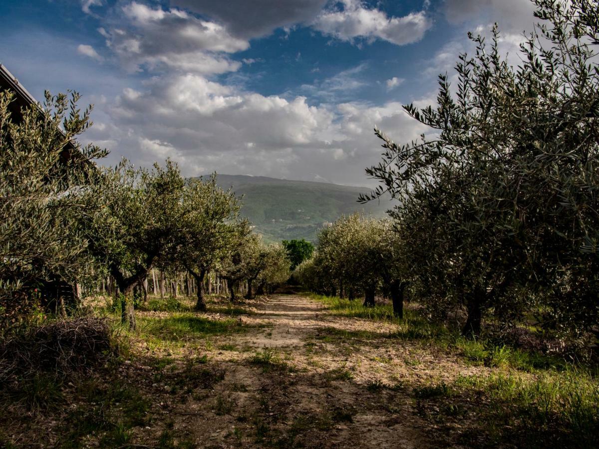 Country House Casale Centurione Villa Manoppello Esterno foto